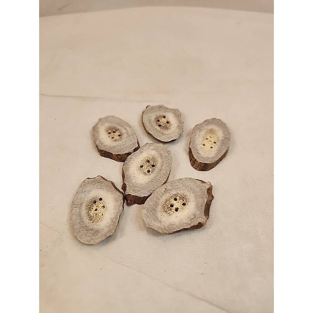 1.25" to‎ 1.5" Handmade Natural Rustic Deer Antler Buttons Set Of 6